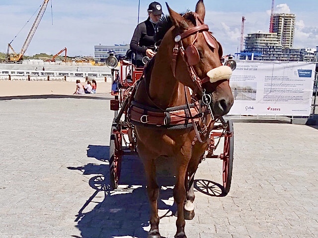 « Balade en calèche à Ostende »