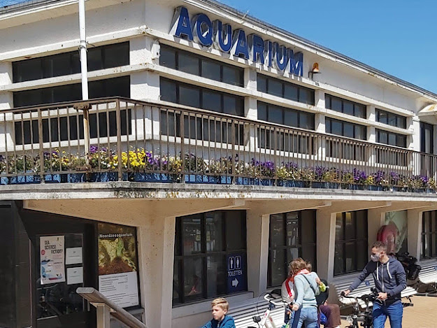 « L’aquarium de la mer du nord »