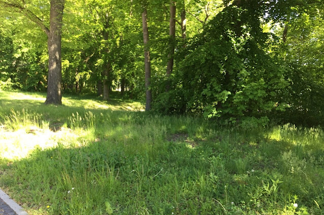« L’emplacement de l’usine Gustloff Sauckel »