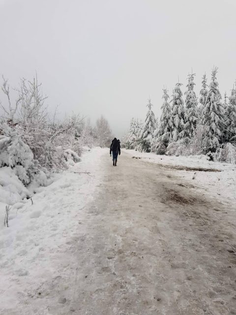 « Un randonneur sur un sentier de la baraque fraiture »