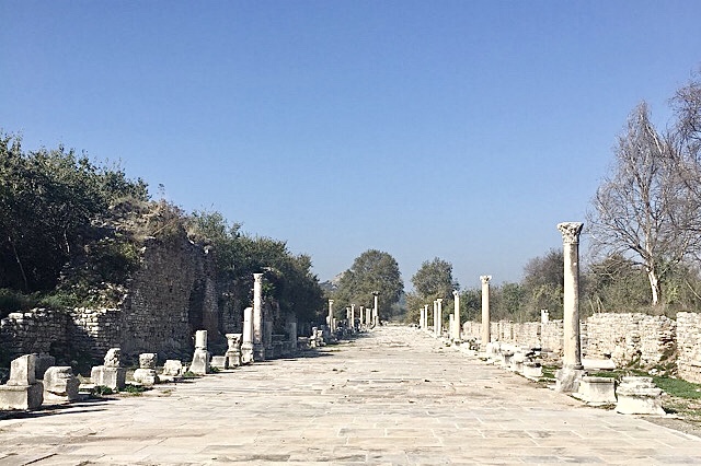 « L’avenue du port »