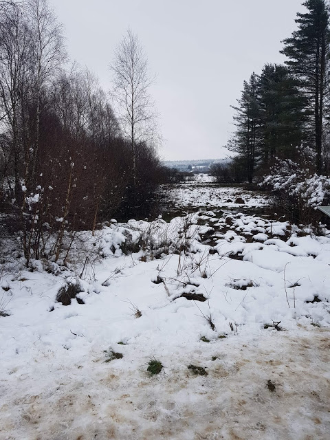 « Un sentier balisé dans les Fagnes de Bihain »