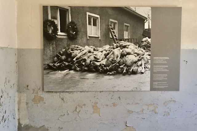 « Photo de cadavres disposés près de l’entrée du crématorium  »
