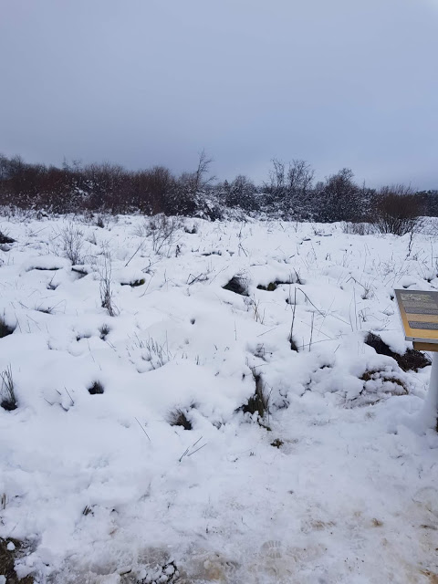 « Des chemins disparus sous la neige à Bihain »