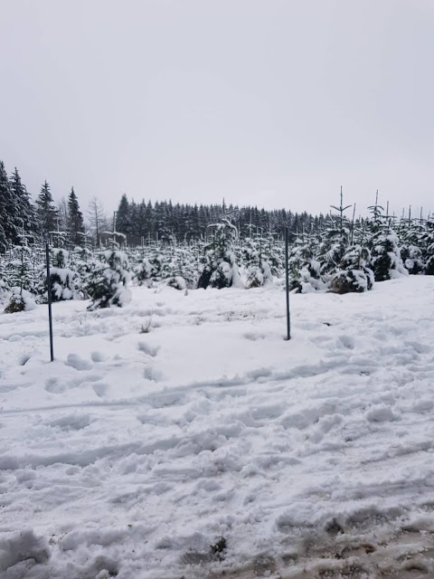 « Une ferme sous la neige à la Baraque Fraiture »