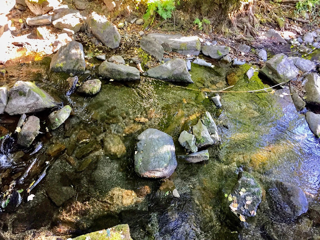 « Un ruisseau à Vresse-sur-Semois »