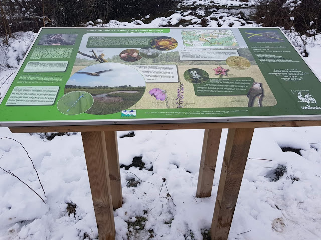 « Un panneau didactique dans les fagnes de Bihain »