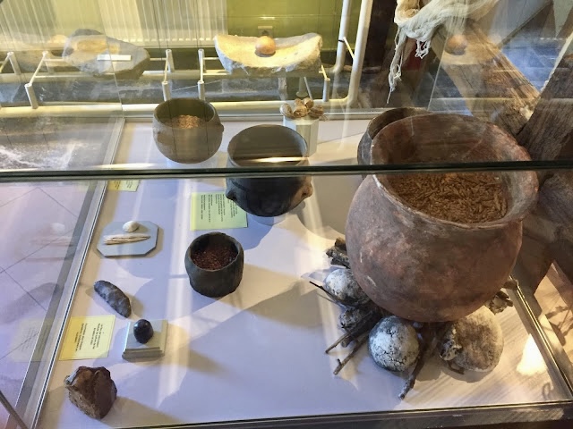 « Ustensiles préhistoriques découverts à Wéris »