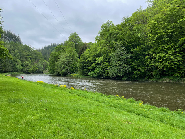 « Une plage herbeuse dans le camping Halliru à Bouillon »
