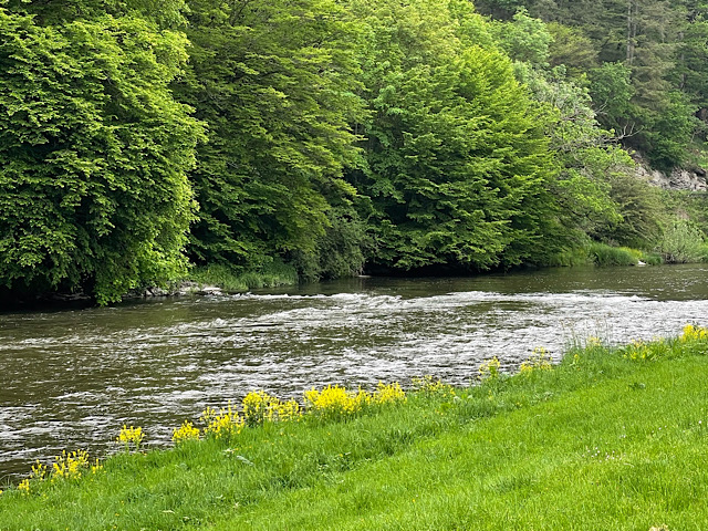 « Vue sur la Semois depuis le camping »