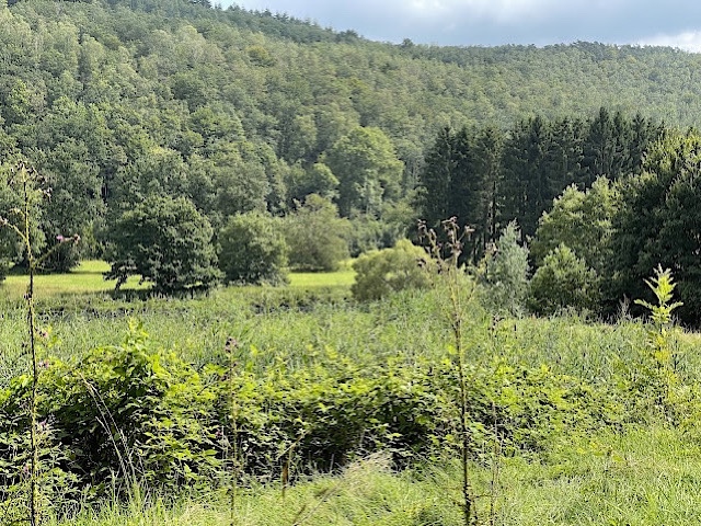 « Une méandre de la Semois à Laforët »