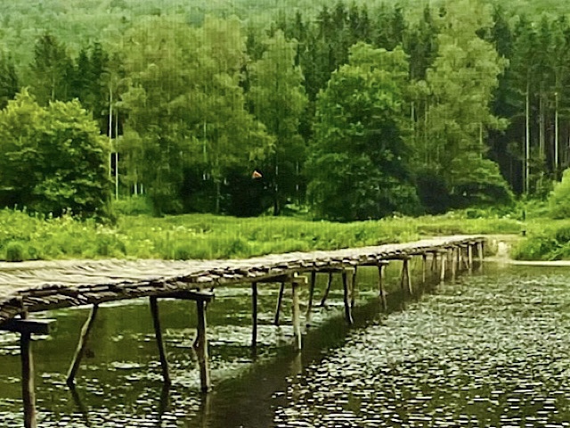 « Le pont de claies de Laforêt »
