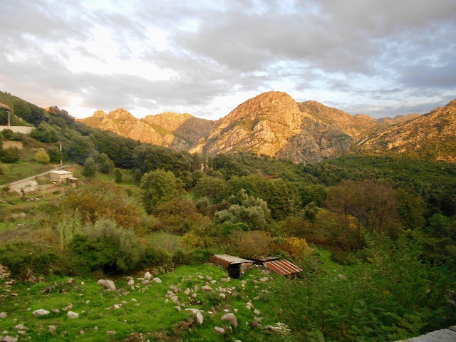 « Des pâturages dans la vallée de la Gravona en Corse du Sud »