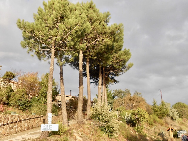 « Le col de Mercujo dans la vallée du Prunelli en Corse  »