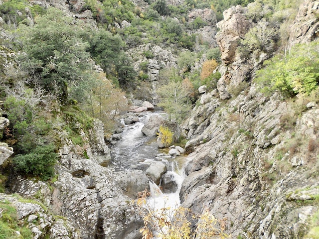 « Vue sur les gorges du Prunelli en Corse du Sud »