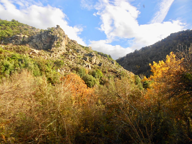 « Des montagnes dans la vallée du Prunelli en Corse du Sud »