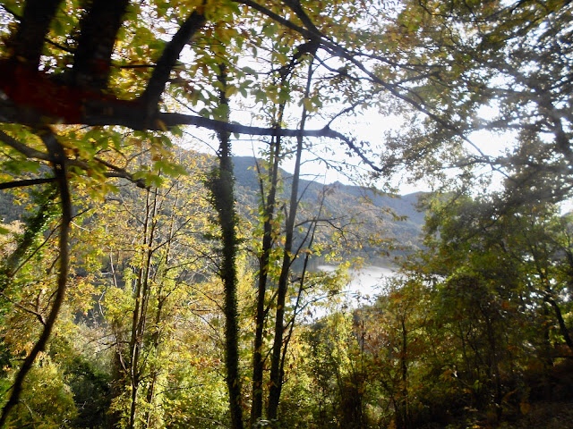 « Vue sur le lac de Tolla en Corse »