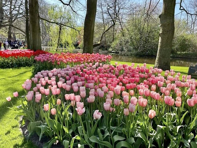 « Une clairière à Leukenhof »