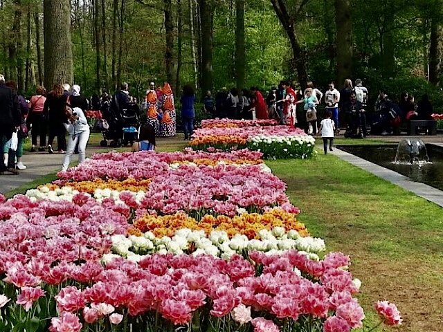 « Des parterres de tulipes à Keukenhof »